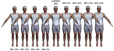 Visual Perception and Evaluation of Photo-Realistic Self-Avatars From 3D Body Scans in Males and Females